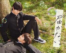 原创对网站seo的作用有哪些